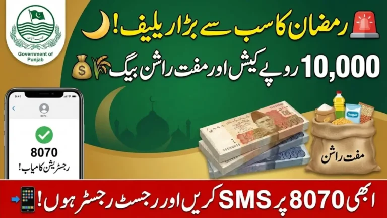 Punjab Socio-Economic Registry Portal How to Register via SMS (Fastest Method)