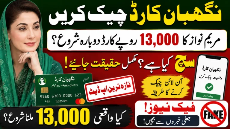 Nigehban Card Check Online Punjab Through Maryam Nawaz 13000